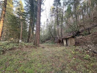 S Fork Rd., Twain Harte, Californie 95383, États-Unis
