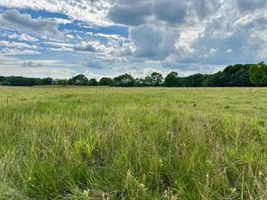 2129 County Road 2130, Cooper, Texas 75432, États-Unis
