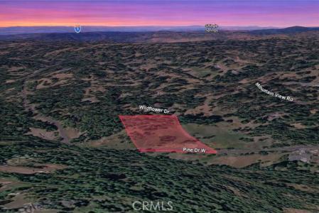Wildflower Drive, Pioneer, Californie 95689, États-Unis