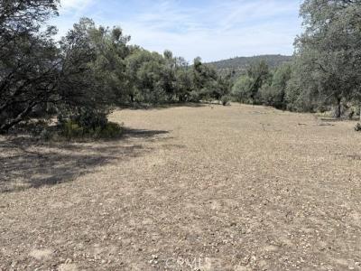 block of Road 225, North Fork, California 93643, Stati Uniti