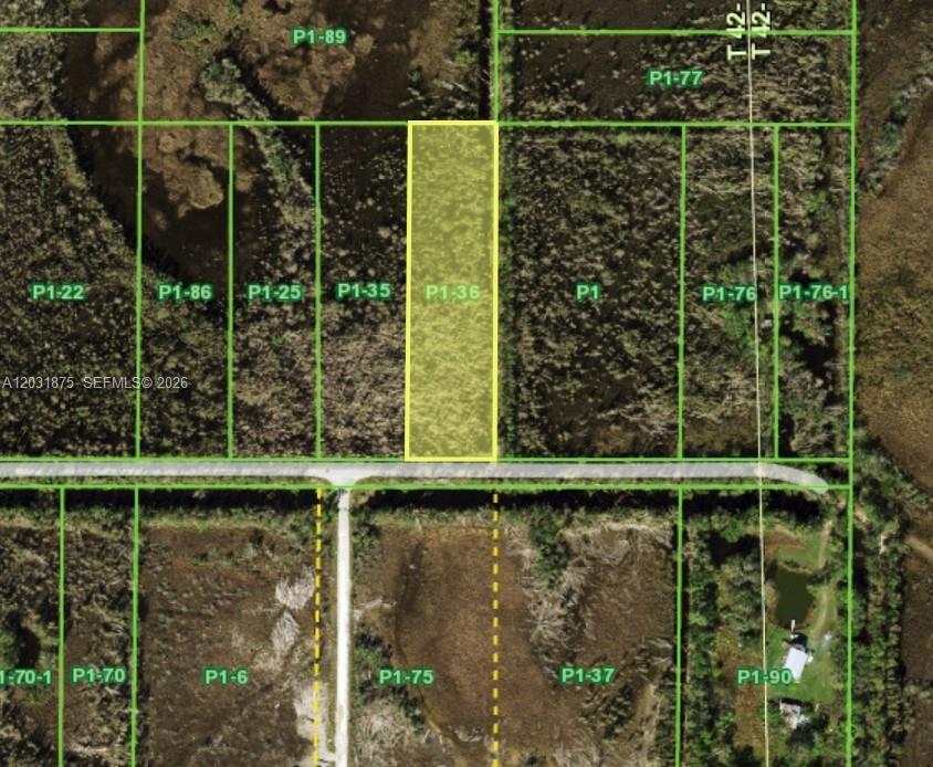 Oil Well, Punta Gorda, Flórida 233955, Estados Unidos
