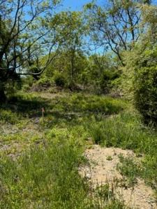 Lee's Ridge Road, Block Island, Rhode Island 02807, Estados Unidos