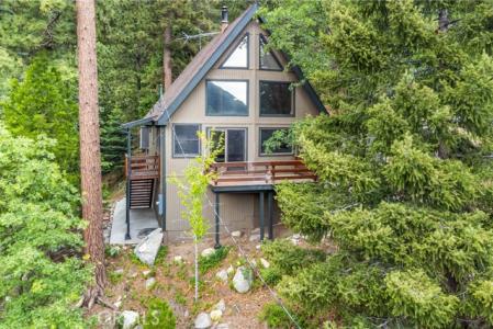 Cedar Avenue, Angelus Oaks, Californie 92305, États-Unis