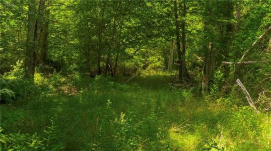 Lawton Foster Road, Hopkinton, Rhode Island 02833, Stati Uniti