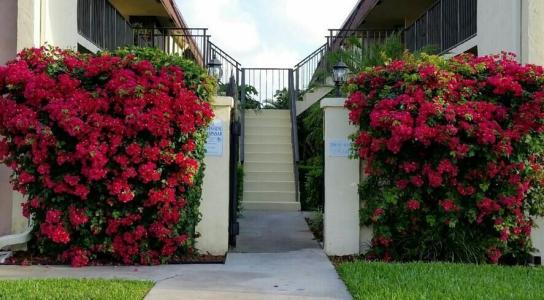 120 N M Street L, Lake Worth Beach, Florida 33460, Stati Uniti