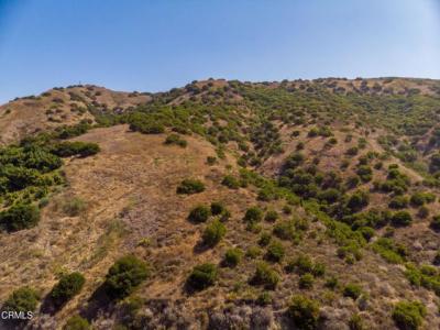 Burson Ranch Road, Fillmore, California 93015, Stati Uniti