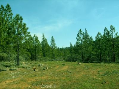 Allen Way, Brownsville, Californie 95919, États-Unis