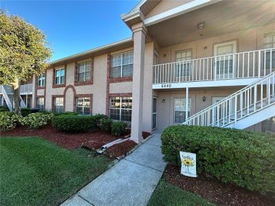 6440 Spring Flower Drive 14, New Port Richey, Floride 34653, États-Unis