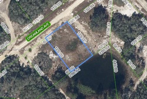517 Dreamland Ave, Lake Placid, Floride 33852, États-Unis