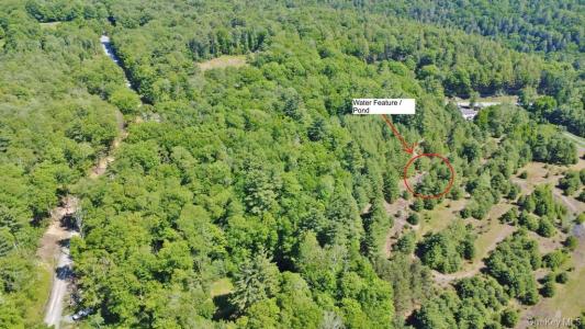 *** Marsh Rd, Fallsburg, New York 12733, Stati Uniti