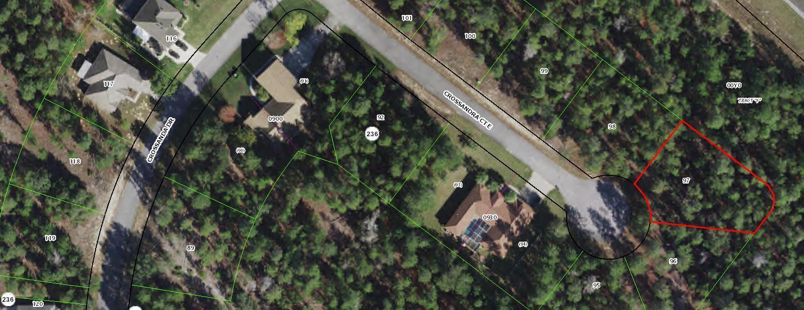 11 Crossandra E Court, Floride 34446, États-Unis