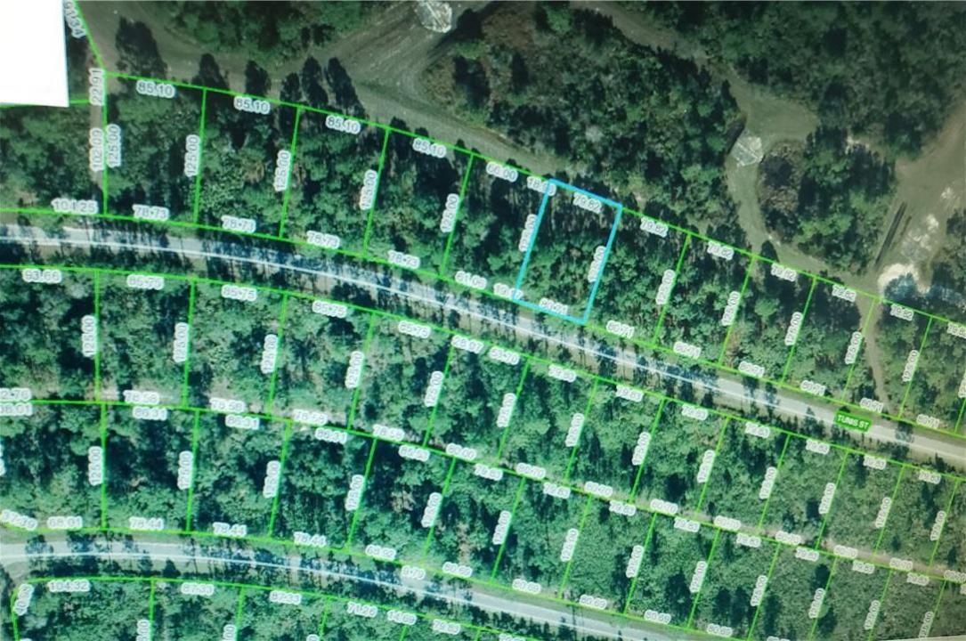 8644 Tunis Street, Florida 33872, USA