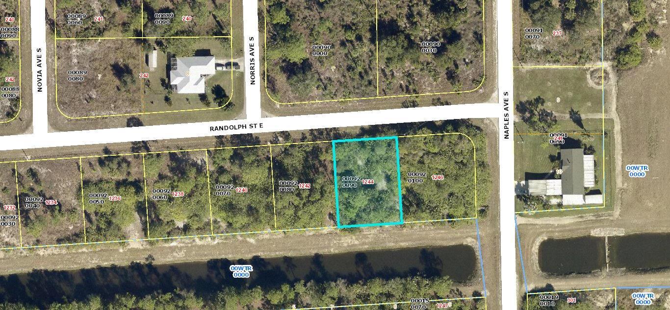 1244 Randolph Street, Lehigh Acres, Florida 33974, Stati Uniti