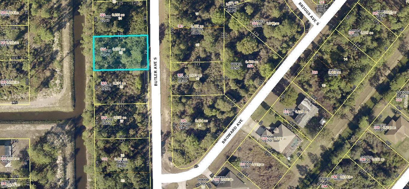 324 Butler S Avenue, Lehigh Acres, Florida 33974, Stati Uniti