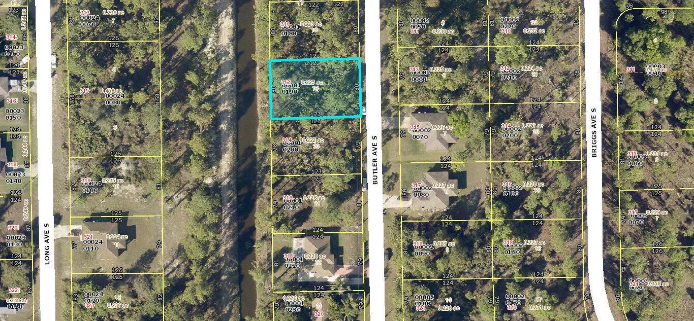 312 Butler S Avenue, Lehigh Acres, Florida 33974, Stati Uniti