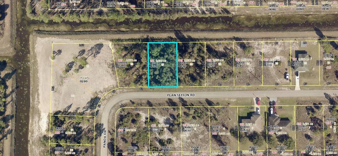 911 Plantation Road, Lehigh Acres, Florida 33974, Stati Uniti