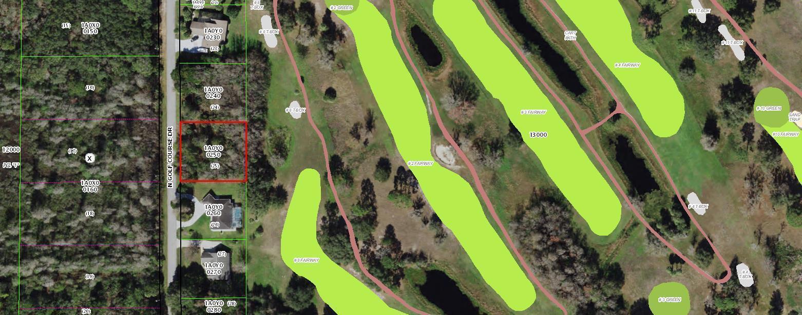 603 N Golf Course Drive, Florida 34429, Stati Uniti