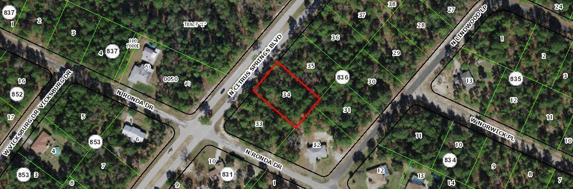 8621 N Citrus Springs Boulevard, Florida 34433, USA