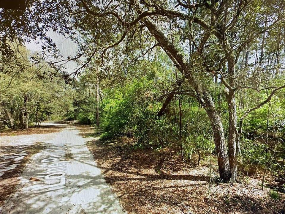 0000 Lone Pine Trail, Florida 32666, Stati Uniti
