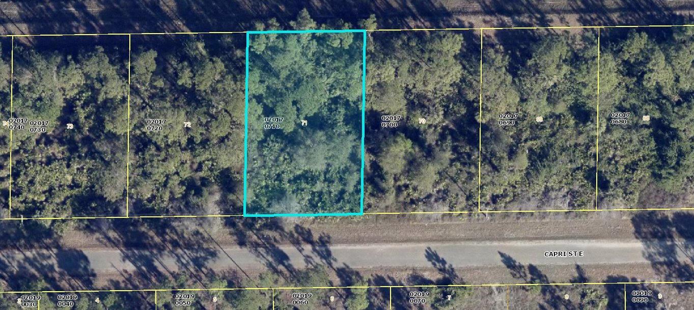 1113 Capri E Street, Lehigh Acres, Florida 33974, Stati Uniti
