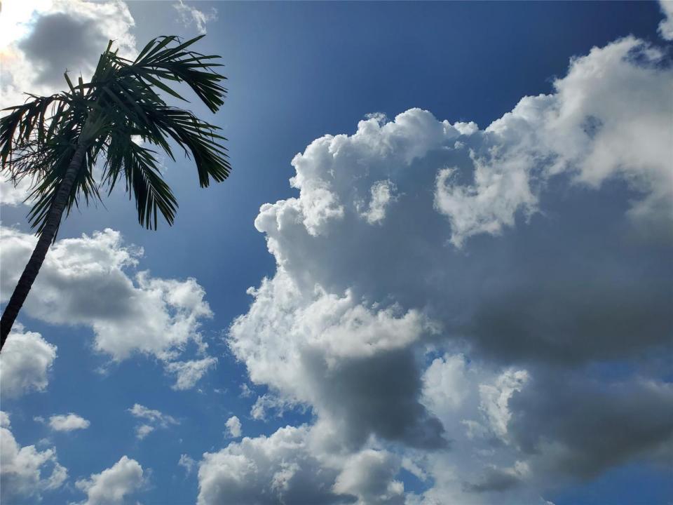 Florida, Amerika Birleşik Devletleri