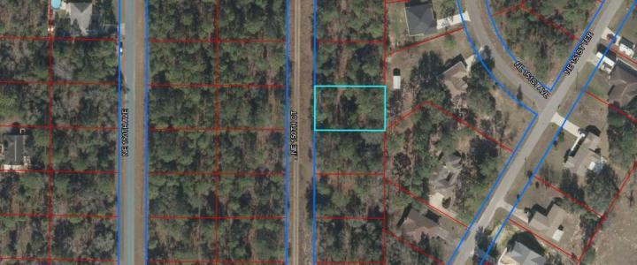 Lot 20 Ne 150th Court, Williston, Florida 32696, HOA KỲ