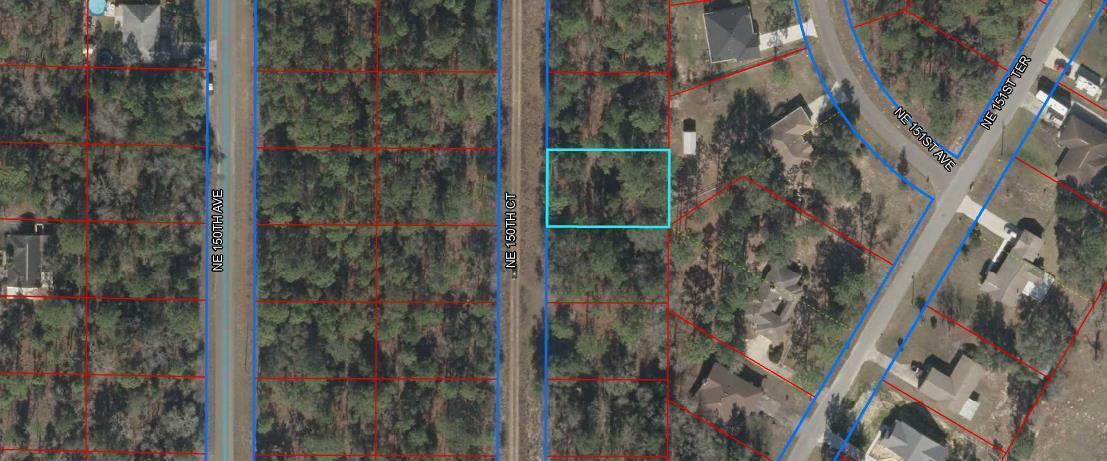 Lot 20 Ne 150th Court, Williston, Florida 32696, Stati Uniti