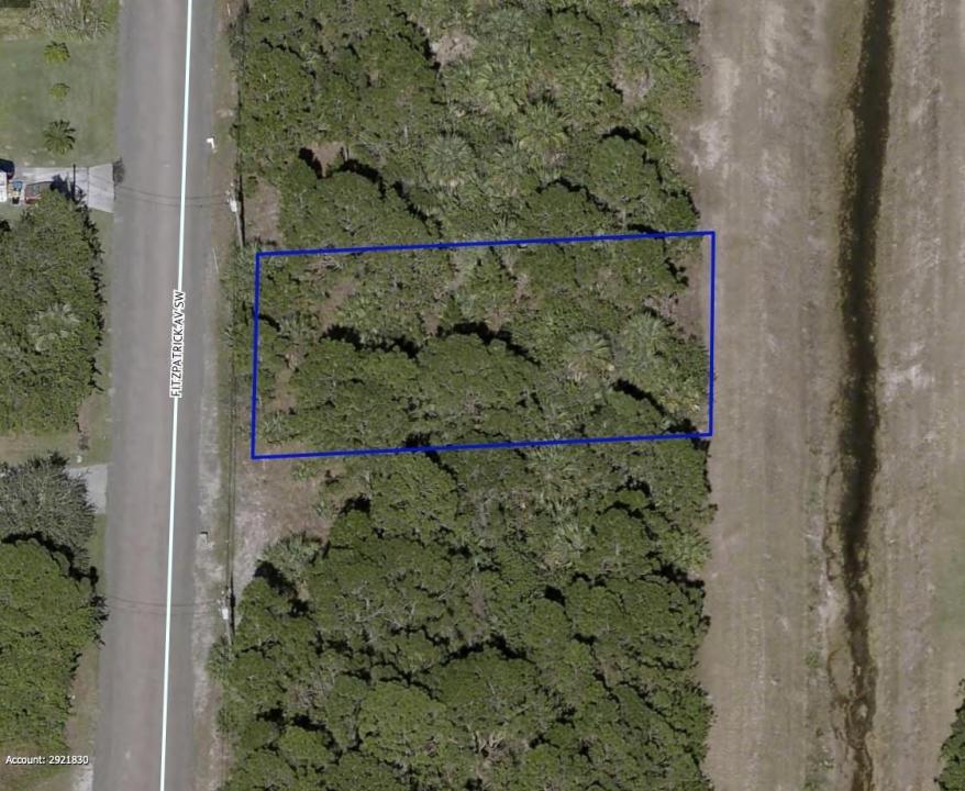 3341 Fitzpatrick Avenue, Palm Bay, Florida 32908, USA