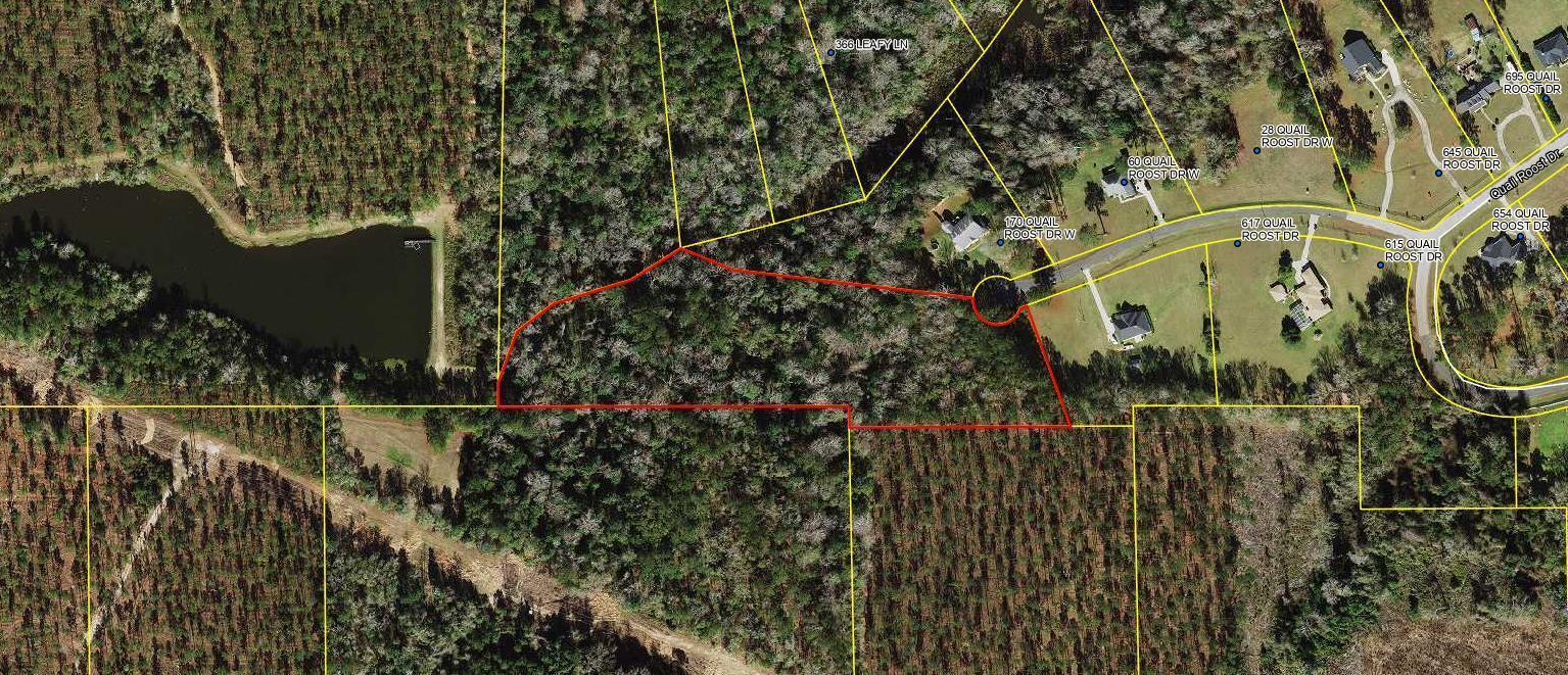Tbd W Quail Roost Drive, Floride 32352, États-Unis