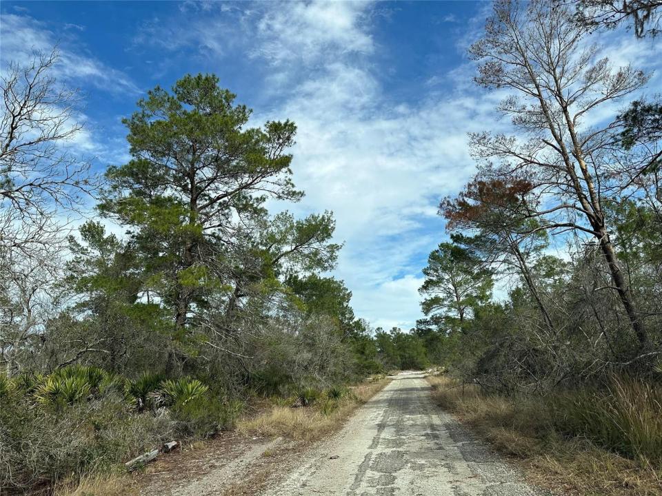 4508 Briarcliff Avenue, Sebring, Floride 33875, États-Unis