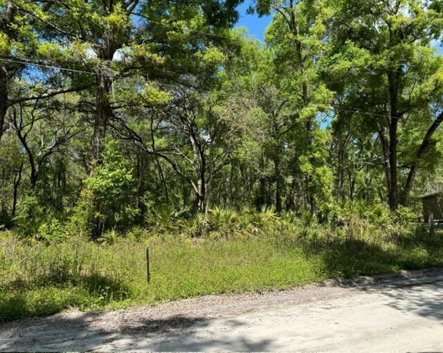 Tbd NE 472nd Avenue, Floride 32680, États-Unis