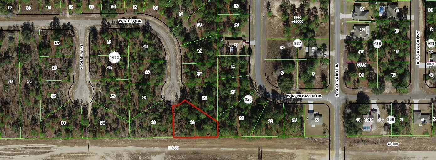 1005 W Riley Drive, Florida 34434, Stati Uniti