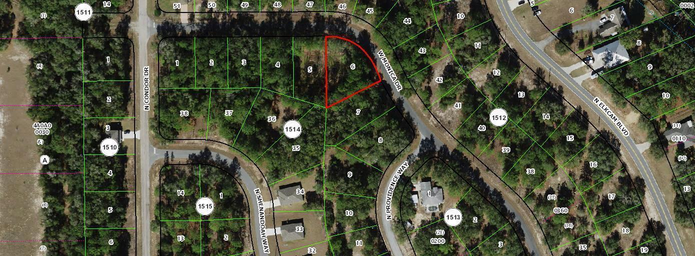 11894 N Monica Drive, Floride 34433, États-Unis