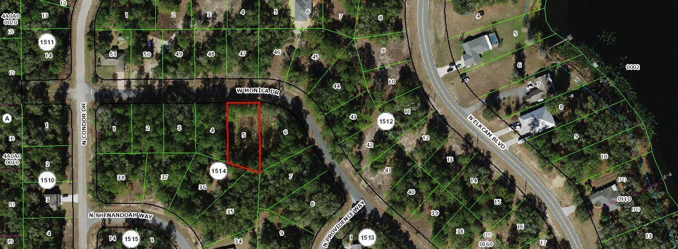 11902 N Monica Drive, Floride 34433, États-Unis