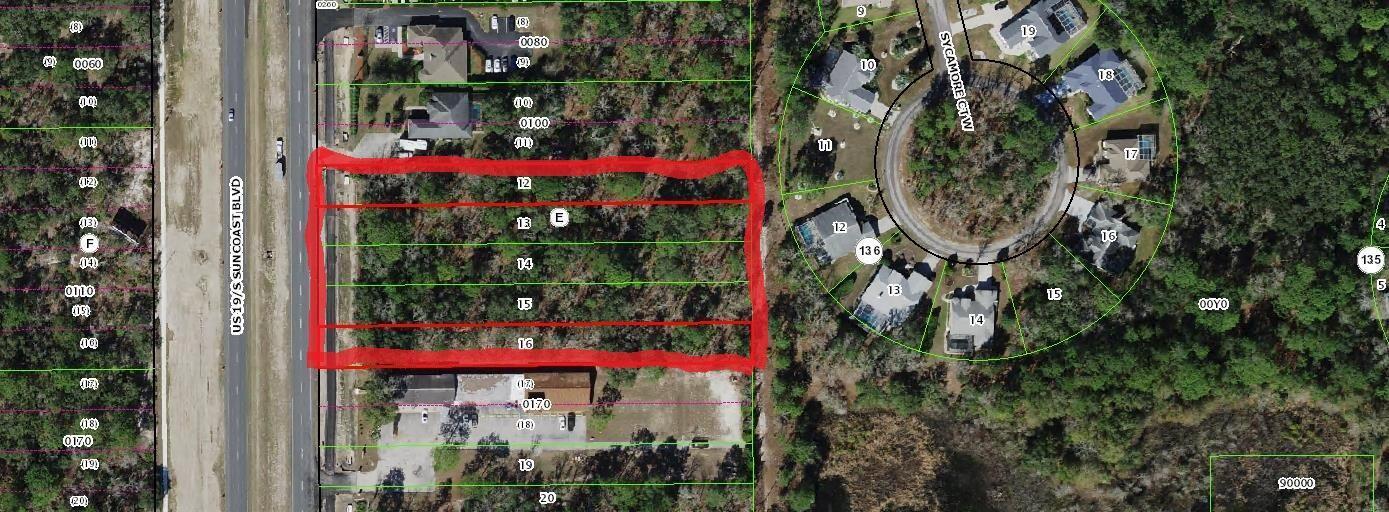 8863 S Suncoast Boulevard, Florida 34446, USA