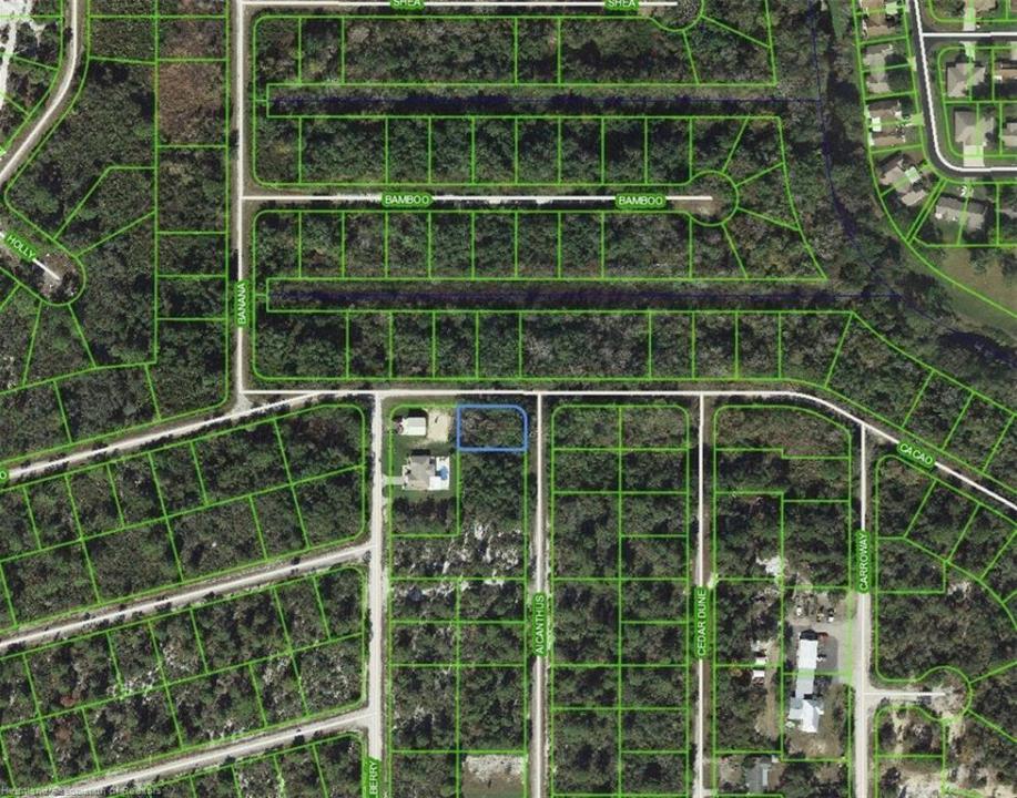 1218 Ailanthus Street, Lake Placid, Florida 33852, Amerika Birleşik Devletleri