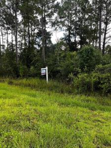 0 Sabal Street, Orlando, Floride 32833, États-Unis