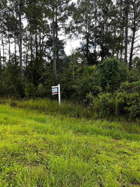0 Sabal Street, Orlando, Florida 32833, USA