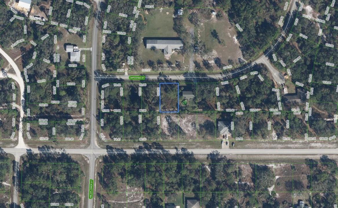 805 Gardenia Street, Lake Placid, Floride 33852, États-Unis