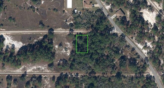 343 Summertime Avenue, Lake Placid, Floride 33852, États-Unis