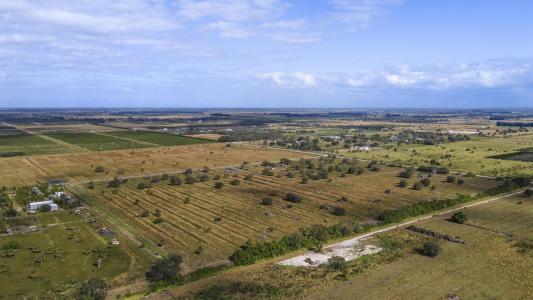 2321 Sneed Road, Fort Pierce, Florida 34945, Stati Uniti