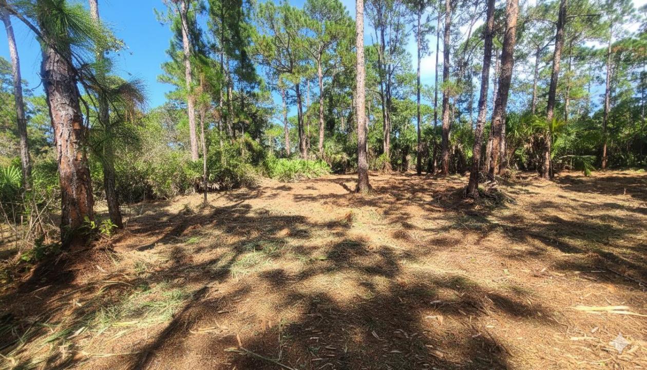 5375 69th Street, Vero Beach, Florida 32967, USA