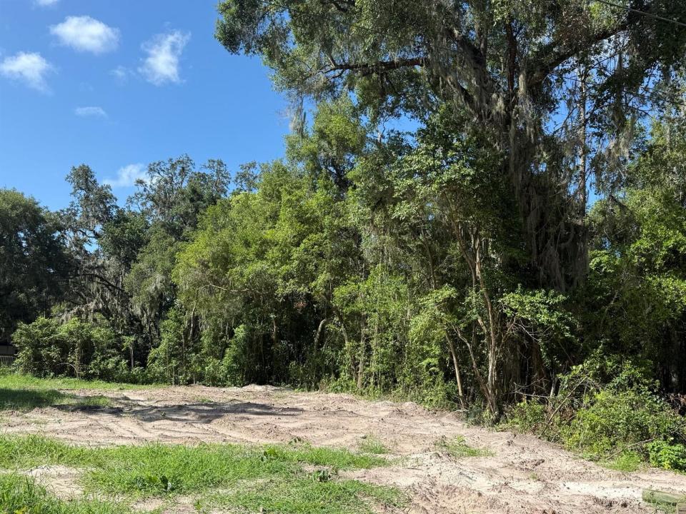 115 Roddy Lane, Palatka, Florida 32177, Stati Uniti