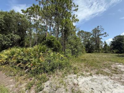 174 Millican Road, Palatka, Floride 32177, États-Unis