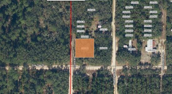 0000 Pine Tree Drive, Palatka, Floride 32177, États-Unis