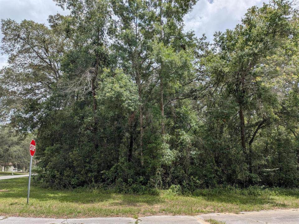 8989 N Conch Terrace, Florida 34434, Stati Uniti
