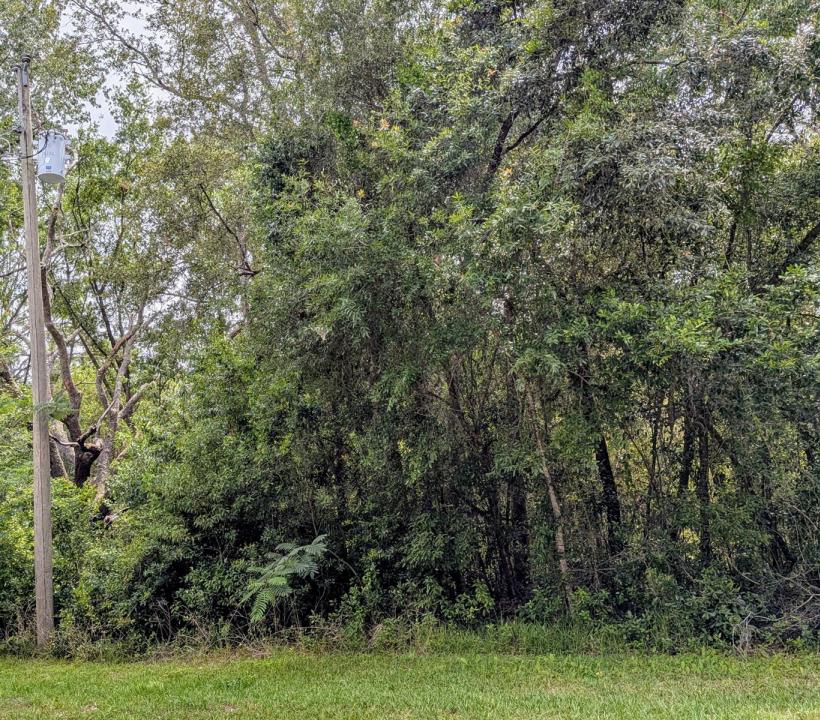 8970 N Joann Drive, Floride 34434, États-Unis