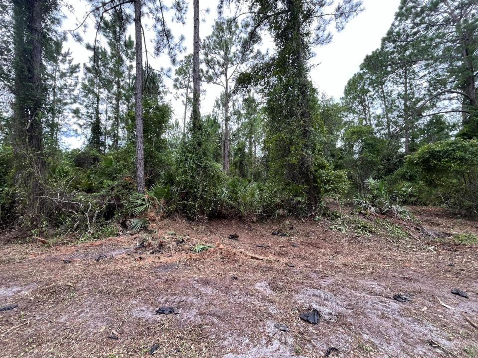 147 Roebuck Street, Floride 32139, États-Unis