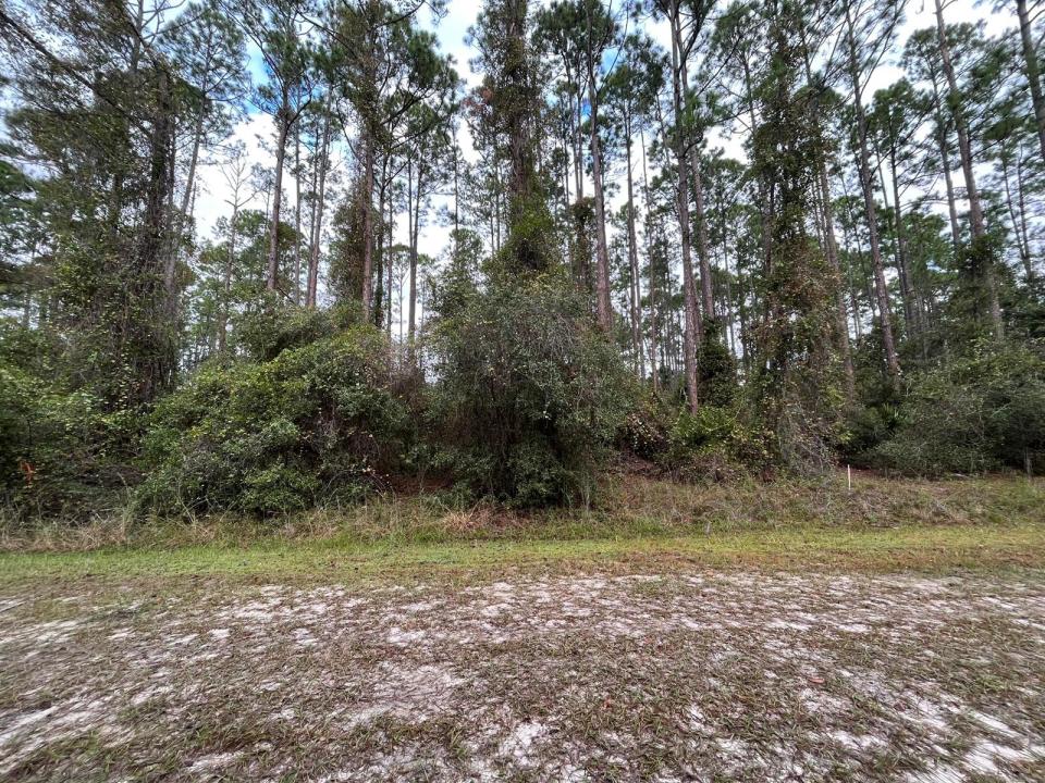 108 SE 5th Street, Floride 32139, États-Unis