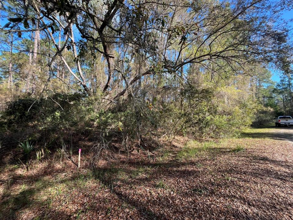 104 SE 5th Street, Floride 32139, États-Unis